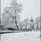 zdjęcie nr 29