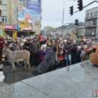 zdjęcie nr 146