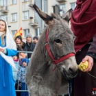 zdjęcie nr 149