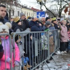 zdjęcie nr 98