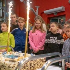 zdjęcie nr 19