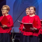 zdjęcie nr 14