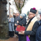 zdjęcie nr 14
