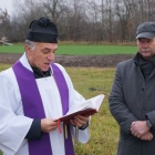 zdjęcie nr 9