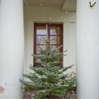 zdjęcie nr 17