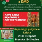 zdjęcie nr 16
