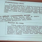 zdjęcie nr 51