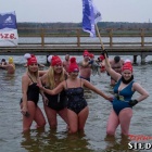zdjęcie nr 104