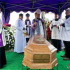 zdjęcie nr 137