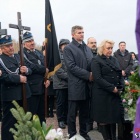 zdjęcie nr 146