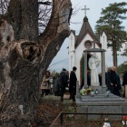 zdjęcie nr 160