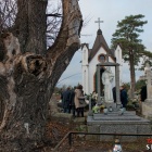 zdjęcie nr 161