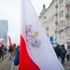 zdjęcie nr 14