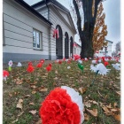 zdjęcie nr 11
