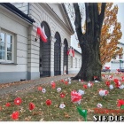 zdjęcie nr 13
