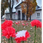 zdjęcie nr 19