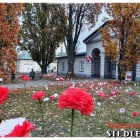 zdjęcie nr 20