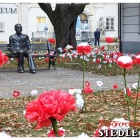 zdjęcie nr 21