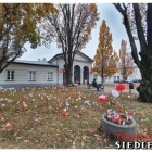 zdjęcie nr 10