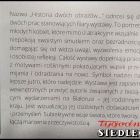 zdjęcie nr 47
