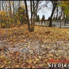 zdjęcie nr 12