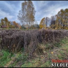 Fotka nr 3 z 12