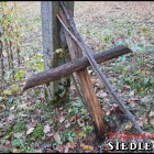zdjęcie nr 21