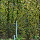 zdjęcie nr 23