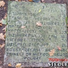zdjęcie nr 7