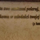 zdjęcie nr 25