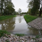 zdjęcie nr 19