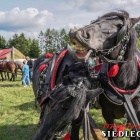 zdjęcie nr 112