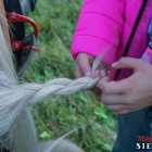 zdjęcie nr 113