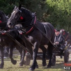 zdjęcie nr 121