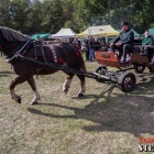 zdjęcie nr 125