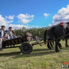 zdjęcie nr 136
