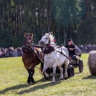 zdjęcie nr 142