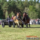 zdjęcie nr 147