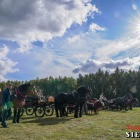 zdjęcie nr 154