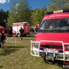 zdjęcie nr 42