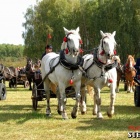 zdjęcie nr 73