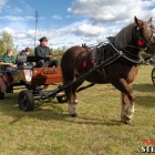 zdjęcie nr 75