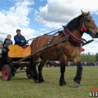 zdjęcie nr 88