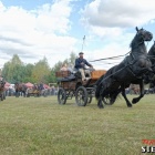 zdjęcie nr 91