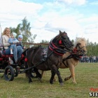 zdjęcie nr 94