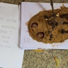 zdjęcie nr 8
