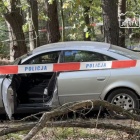 Fotka nr 1 z 8