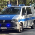 Fotka nr 3 z 8