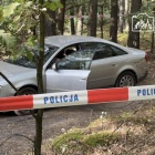 Fotka nr 4 z 8