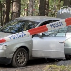 Fotka nr 5 z 8